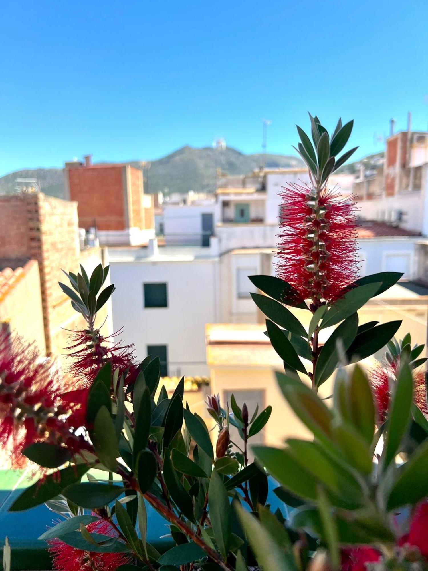 Escondite Central Con Terraza Compartida En La Azotea روساس المظهر الخارجي الصورة